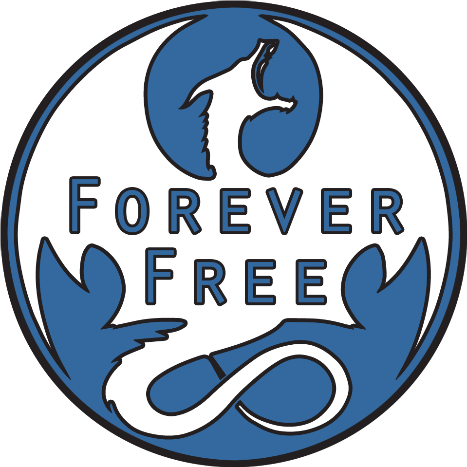 Author Images - Skyrim Forever Free (1000x1000), Png Download