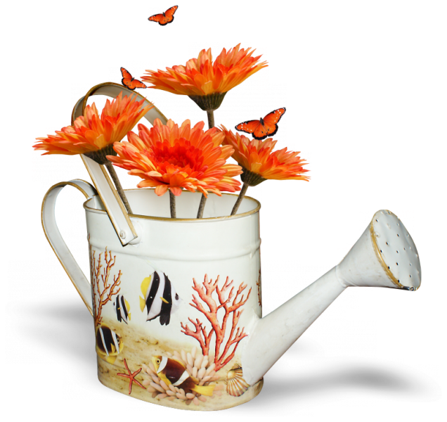 Gifs De Flores Com Fundos Transparentes, Flores Png, - Chrysanths (636x600), Png Download