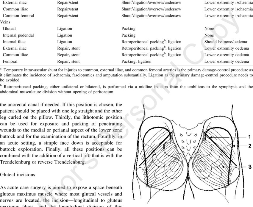 1 Simple Gluteal Incision, 2 Extended Gluteal Incision - Skin Incision Gluteal (850x696), Png Download