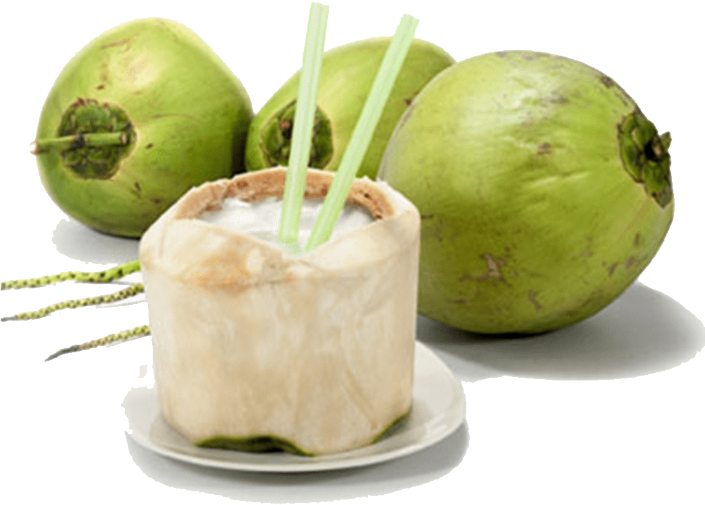 Fresh Coconut - Kelapa Muda Png (1024x1024), Png Download