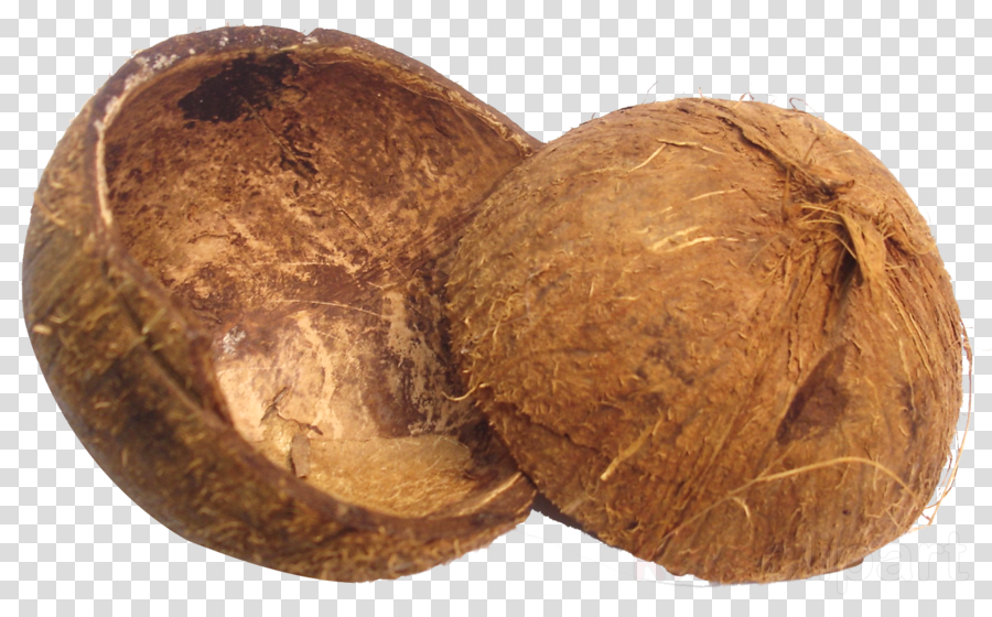 Coconut Shell Clipart Brass Broidered Coconut Shell - Buttons On Off Png (900x560), Png Download