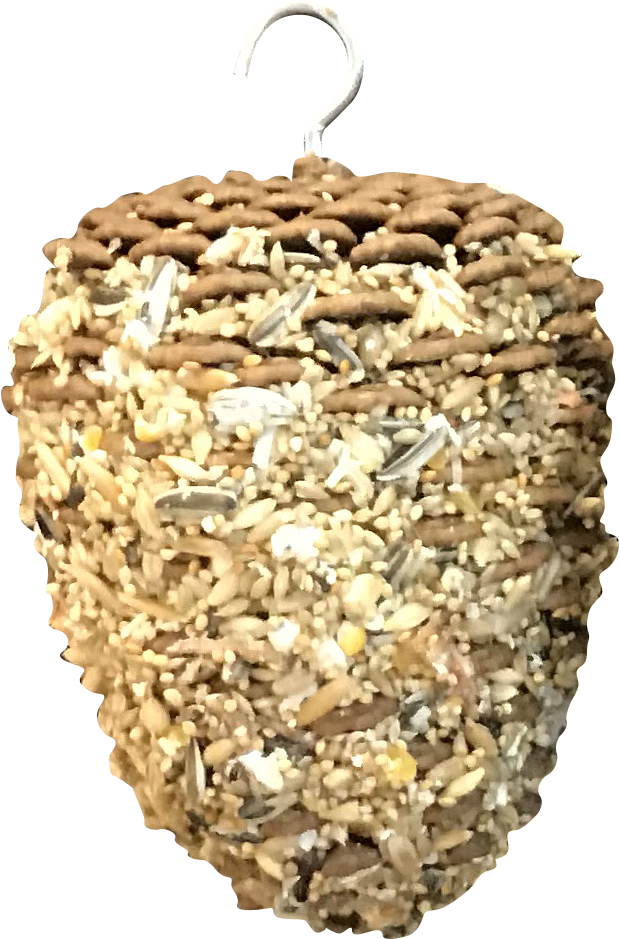 Lantern (1039x1185), Png Download