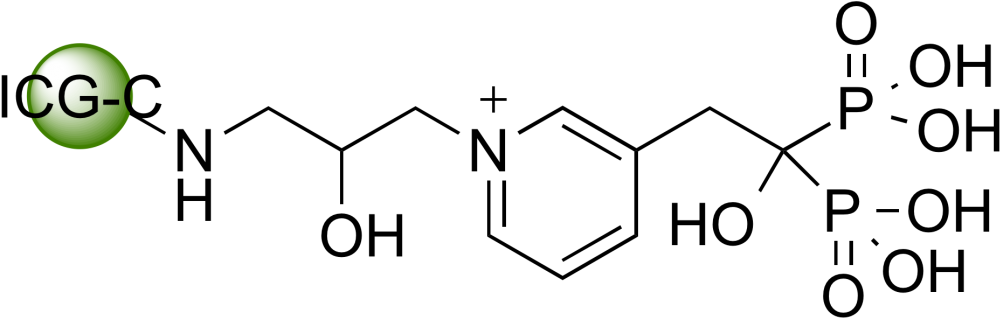 Select Optionsselect Options - P Coumaric Acid Structure (1024x342), Png Download