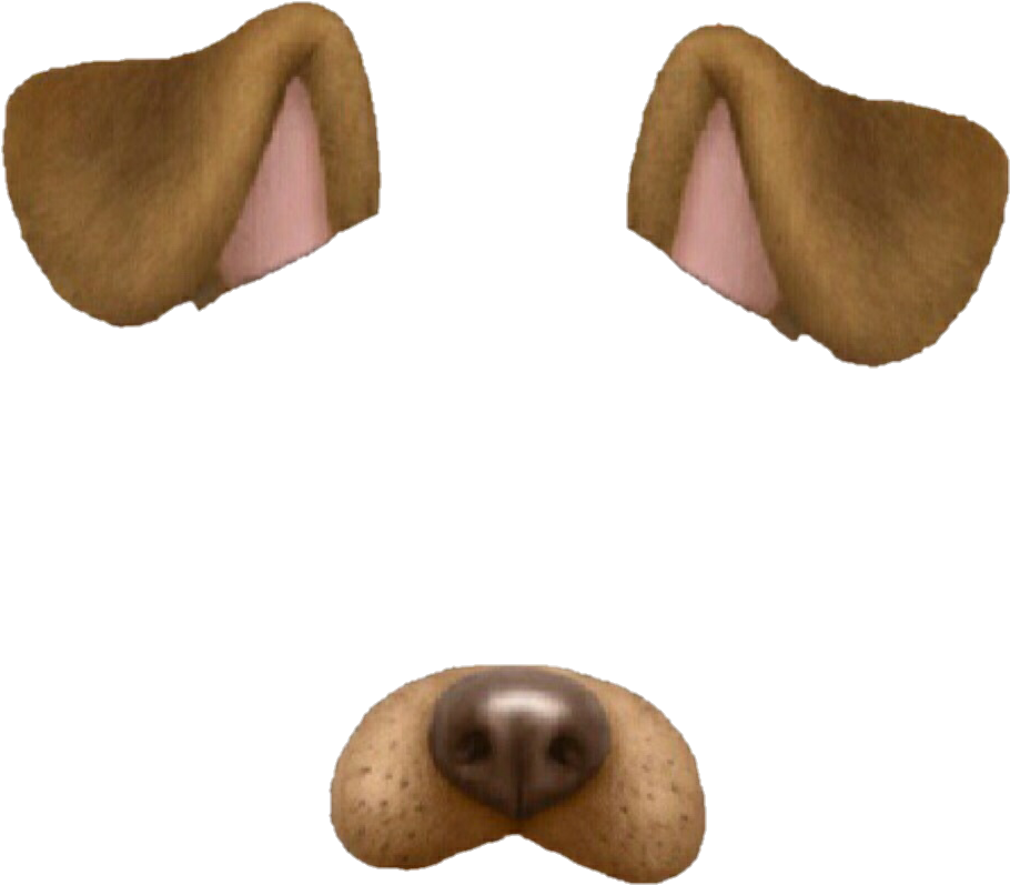 Snapchat Tumblr Overlay Dog Perro Brown Marrón - Snapchat Dog Filter (1022x1024), Png Download