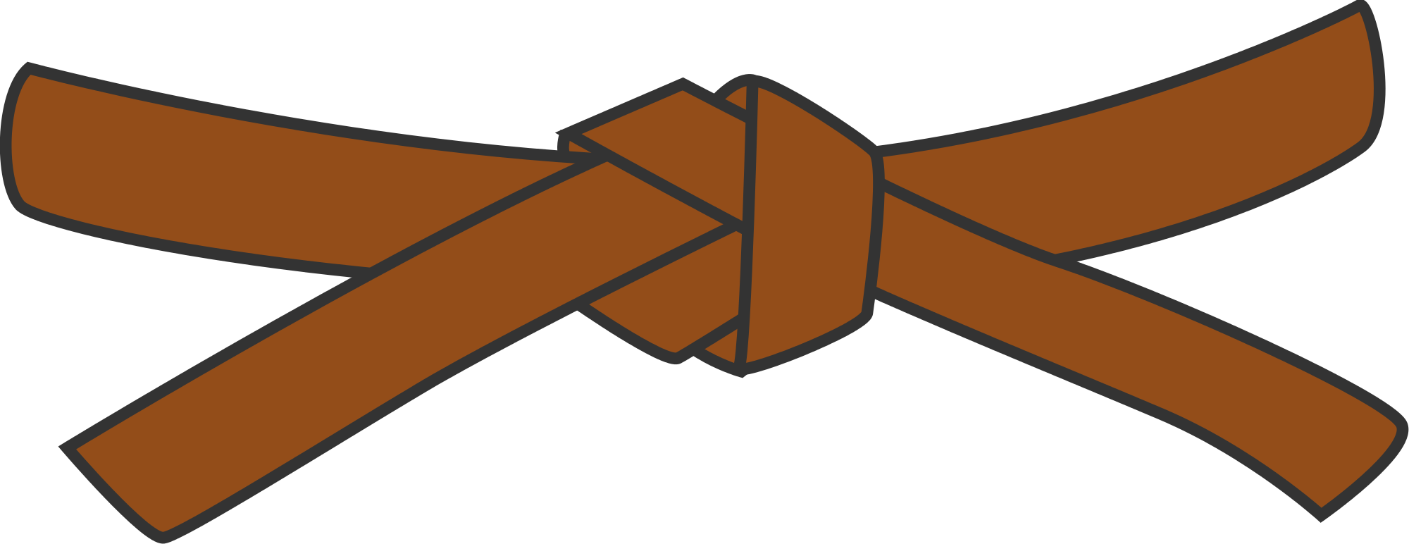 Rd Kyu Class - Brown Belt Martial Arts (2000x772), Png Download