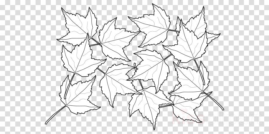 Vitruvian Man Royalty-free - Fall Journal: Coloring Cover - Blank Lined Journal (900x450), Png Download