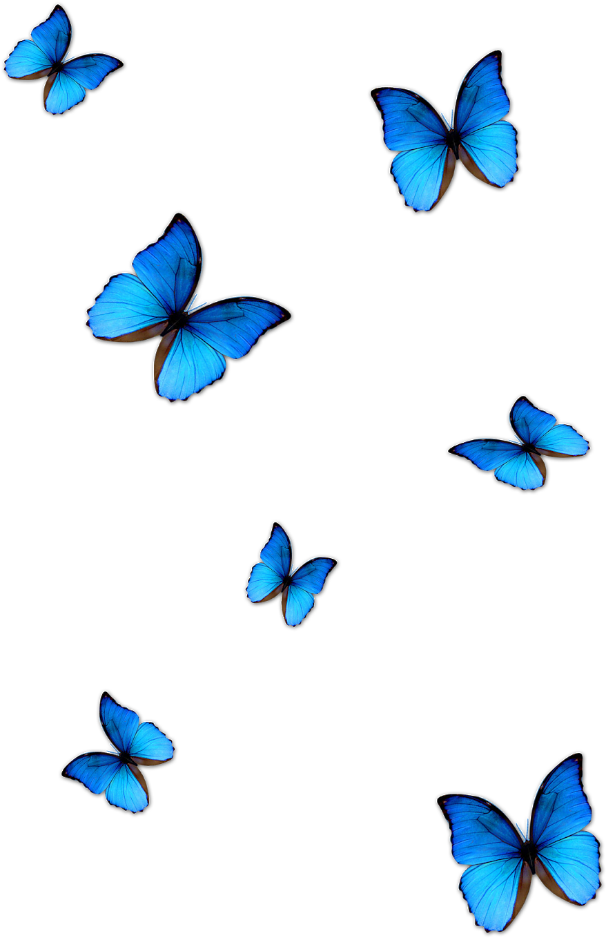 Kisspng Butterfly Blue Phengaris Alcon Blue Butterfly - Butterfly Effect Photo Editing (1163x1600), Png Download