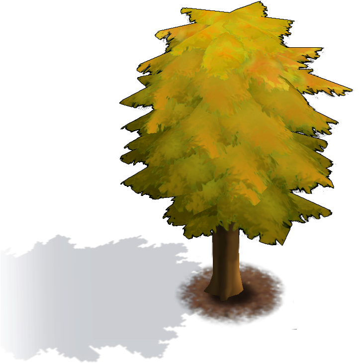 Yellow Tree - White Pine (920x920), Png Download