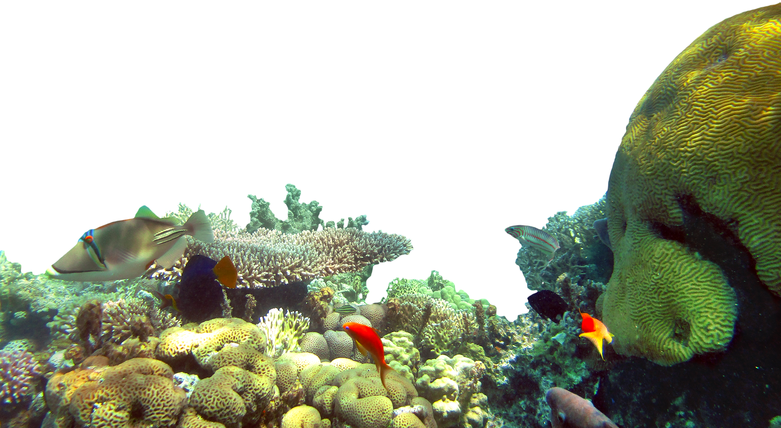 Start The Experience - Underwater (2560x1403), Png Download