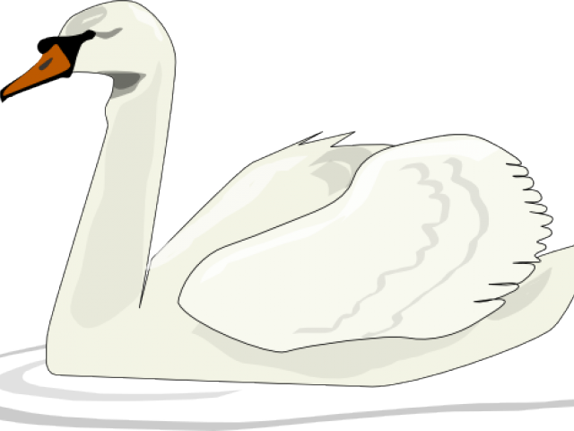 Swan Clipart Swimming - Desenhos Olhos De Cisnes (640x480), Png Download