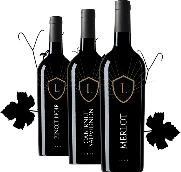 Cascading Wines Leafs - Feudi Di San Gregorio Primitivo Di Manduria Doc 2014 (624x592), Png Download