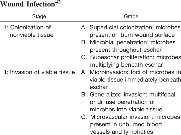 Histopathologic Classification Of Burn - Burn (725x543), Png Download