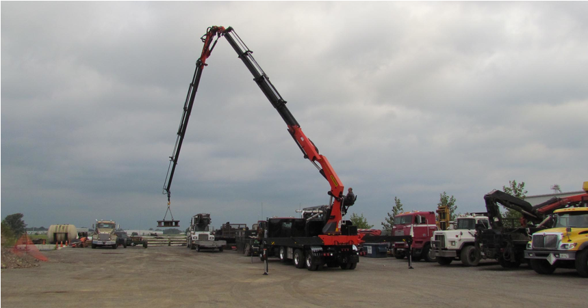 Cranes - Crane (1180x450), Png Download