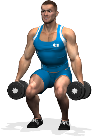 Dumbbell Squat Involved Muscles During The Training - Quadricipiti Manubri (700x700), Png Download