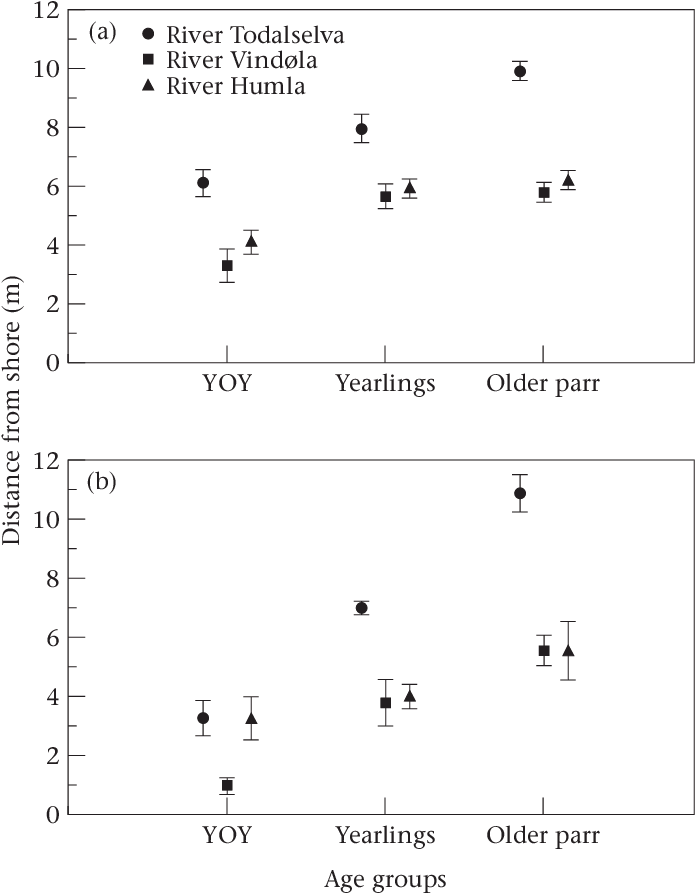 Age-specific Distance From The River Bank Kept By Salmon - Salmon (700x904), Png Download