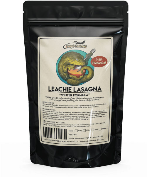 Leachianus Lasagna - New Caledonia Giant Gecko (500x628), Png Download