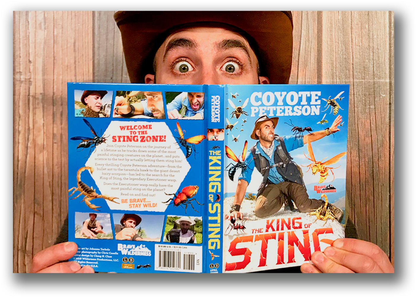 Sting Png (1500x1091), Png Download