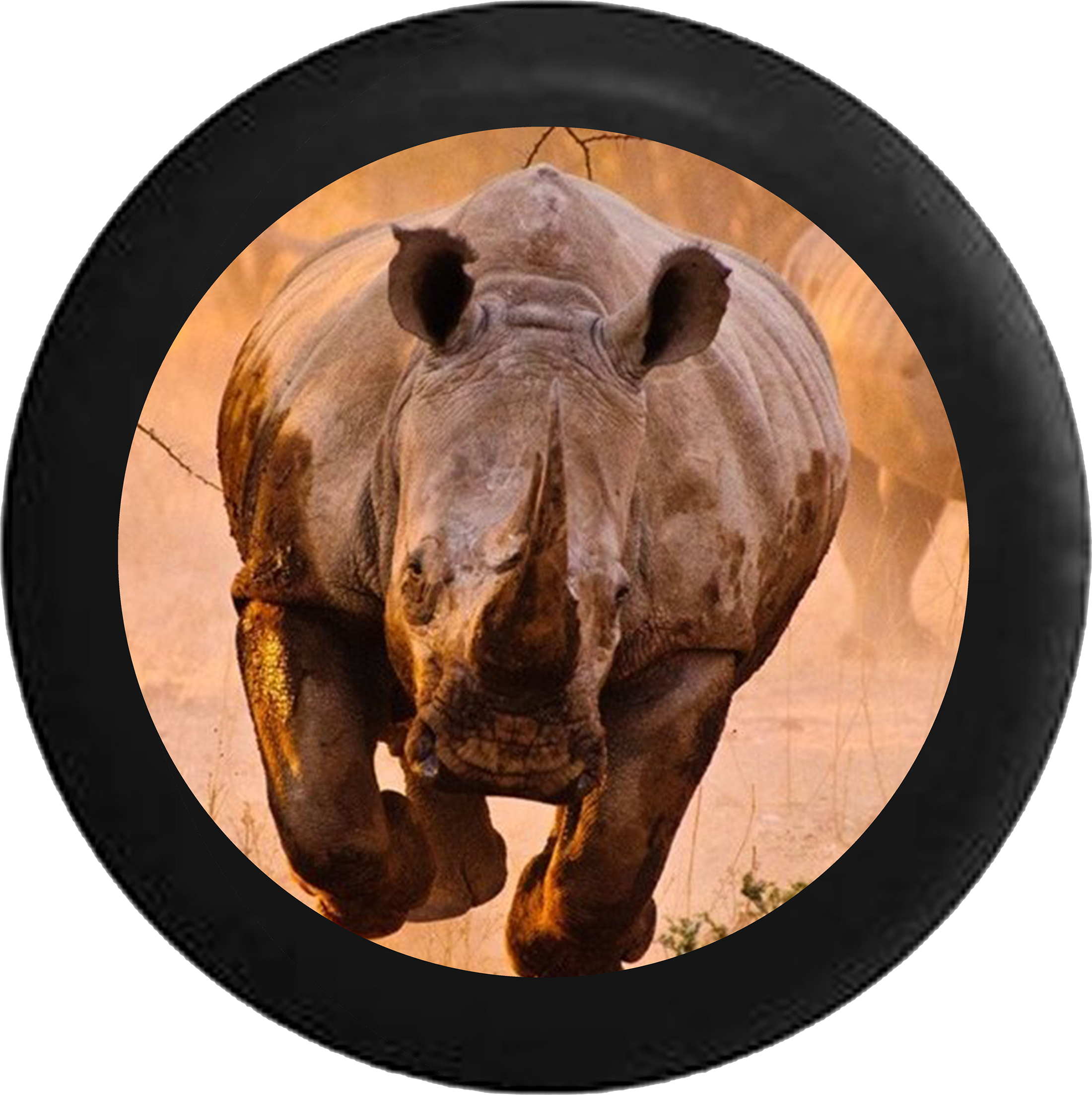 Great Big Canvas Rhino Learning To Fly Anvas Size: (2200x2206), Png Download