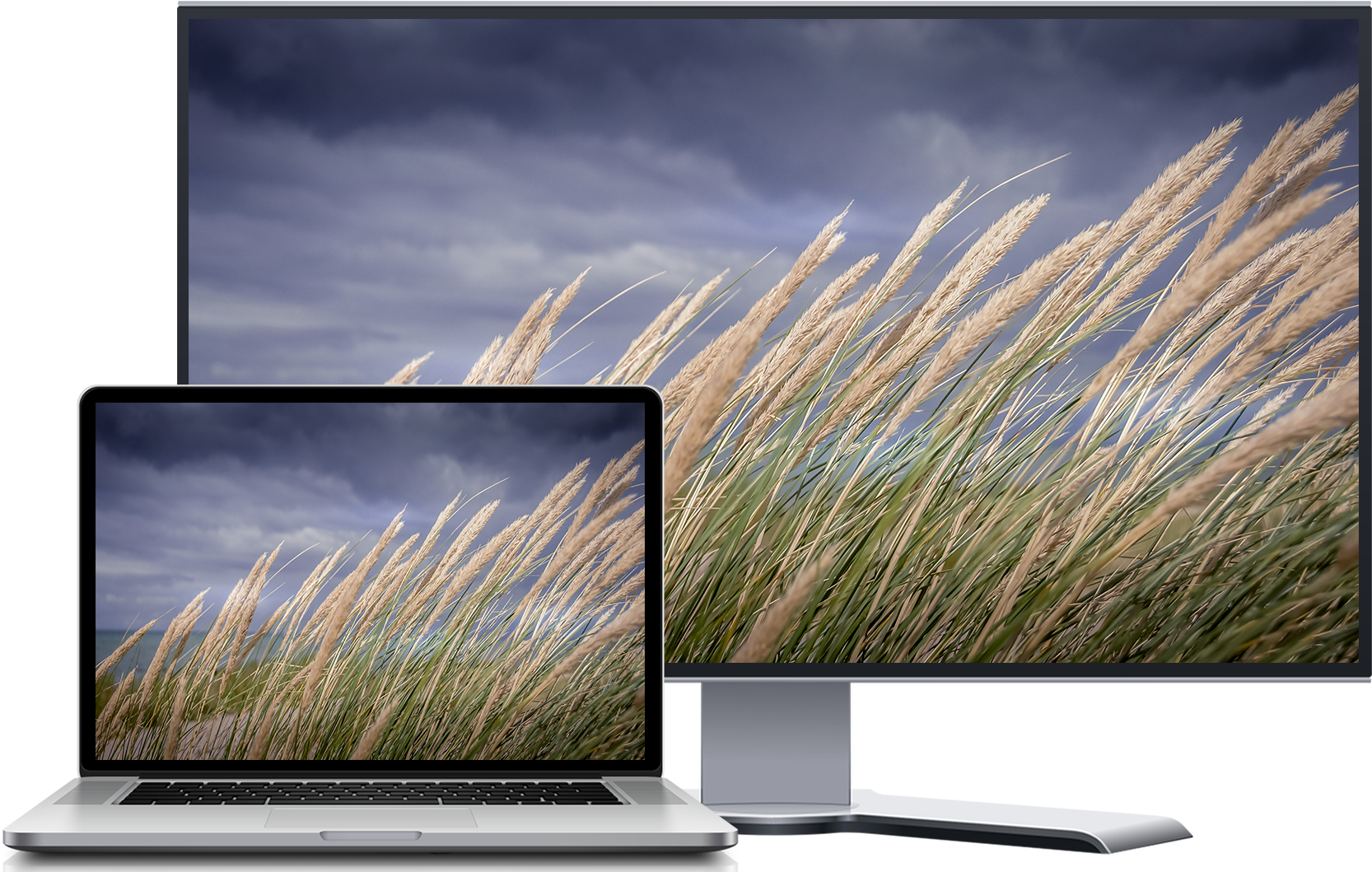 Score 50% - Led-backlit Lcd Display (1920x1164), Png Download