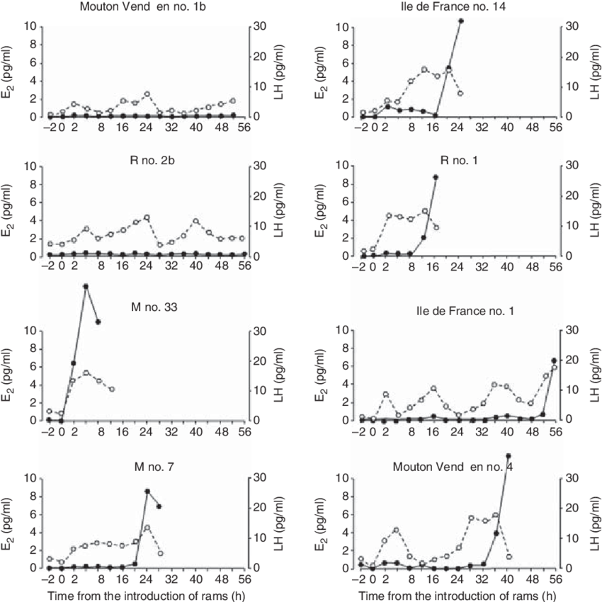 The Pattern Of Concentrations Of Oestradiol And Lh - Estradiol (850x850), Png Download