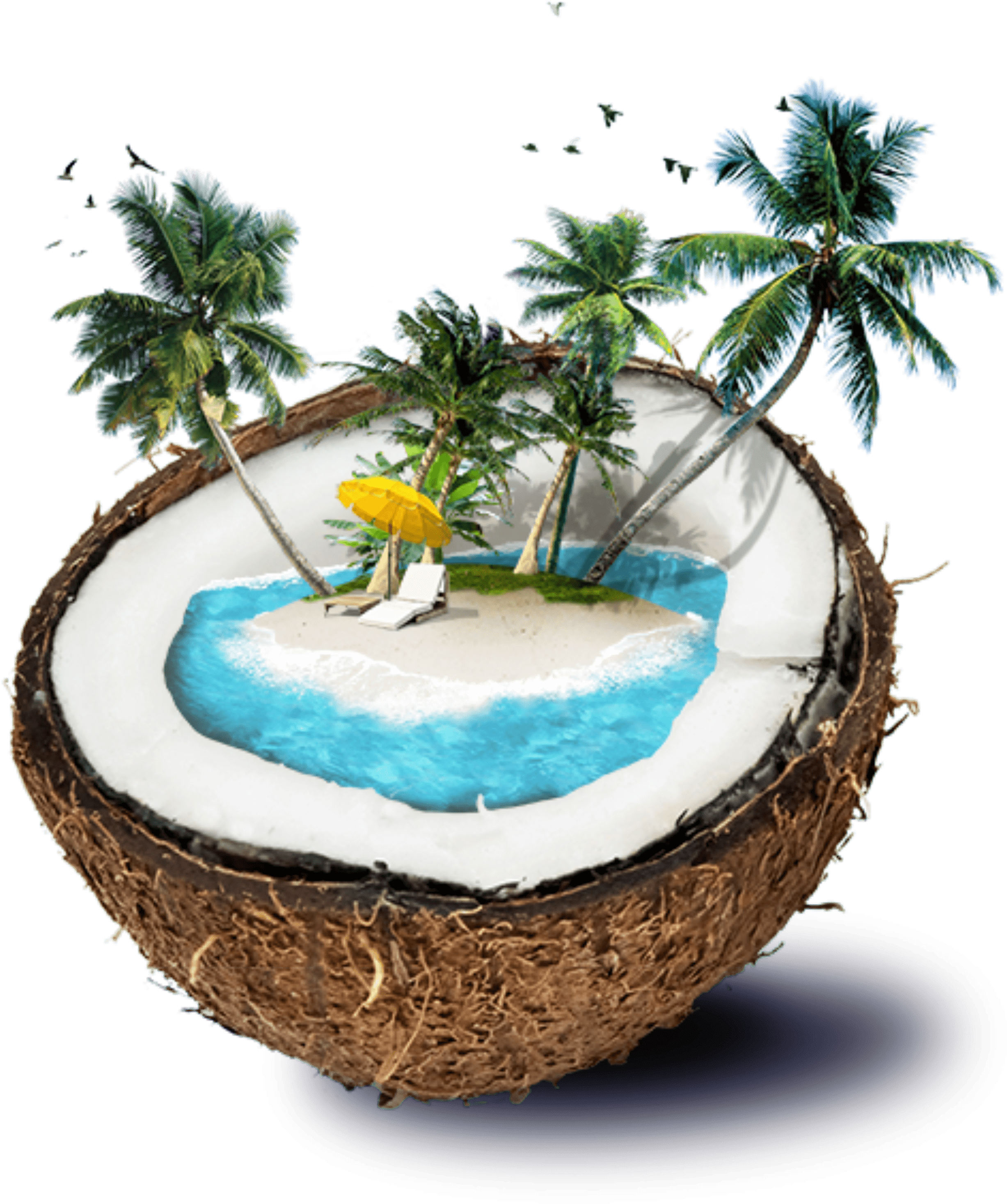Denismorrow › Tropical Beach Lounge - Coconut Tree Theme (3000x3000), Png Download