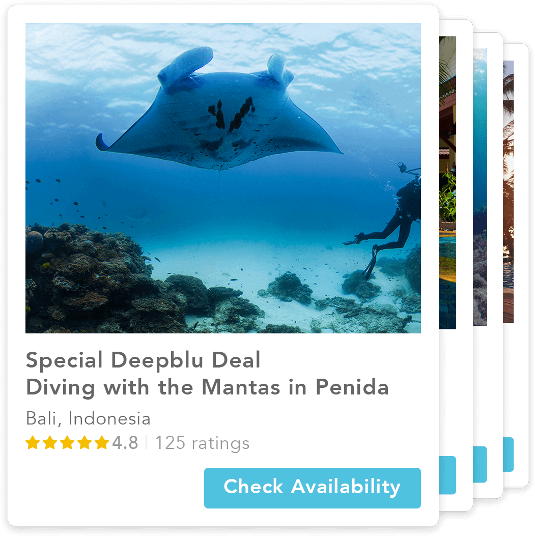 Manta Ray Png (1102x1102), Png Download