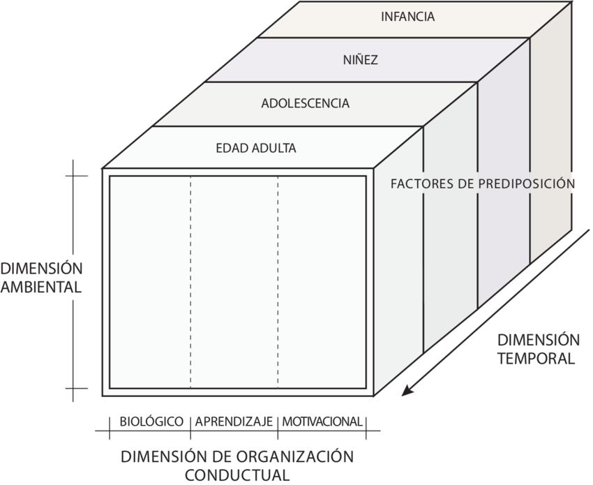 Modelo Multidimensional De Formulación Clínica - Formulacion Clinica Leonidas Castro (850x695), Png Download
