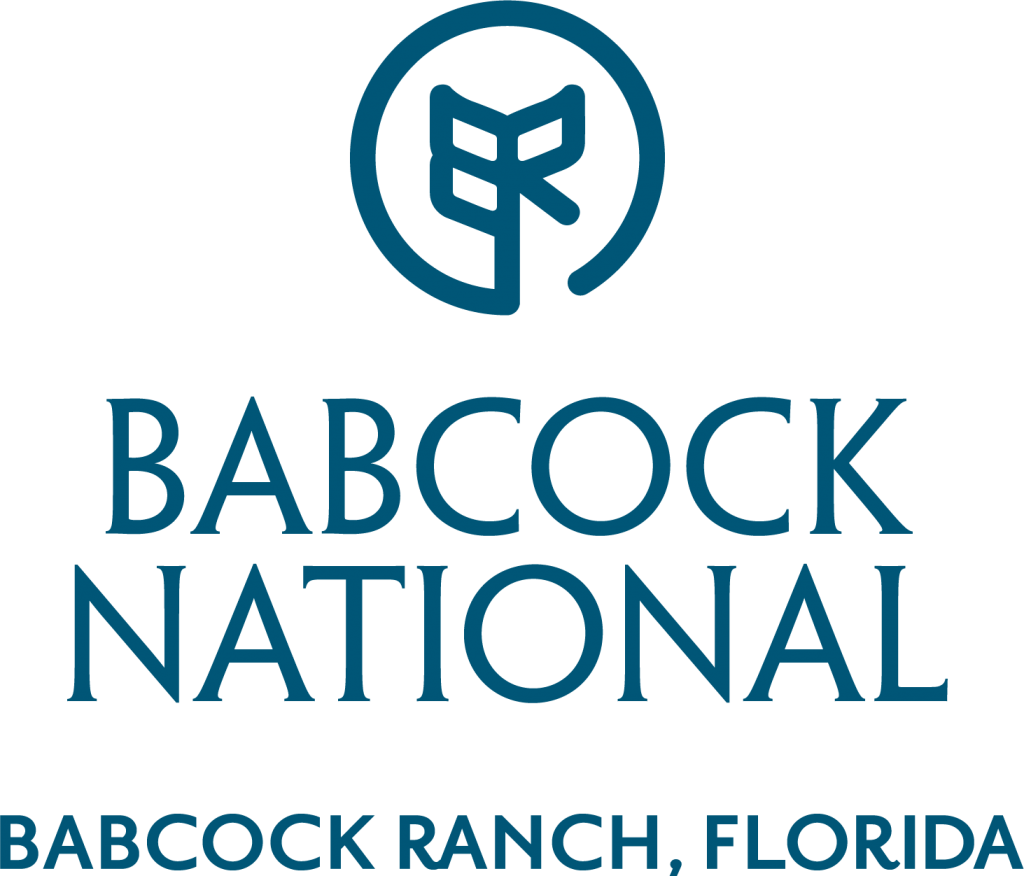 Logo Of Babcock National - June Is National Safety Month 2018 (1024x876), Png Download