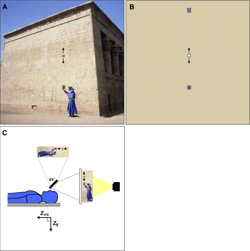 Schematic Representation Of Visual Stimuli - Facade (850x853), Png Download