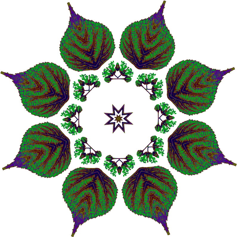 This Png File Is About Remix 239284 , Design , Plant (800x800), Png Download