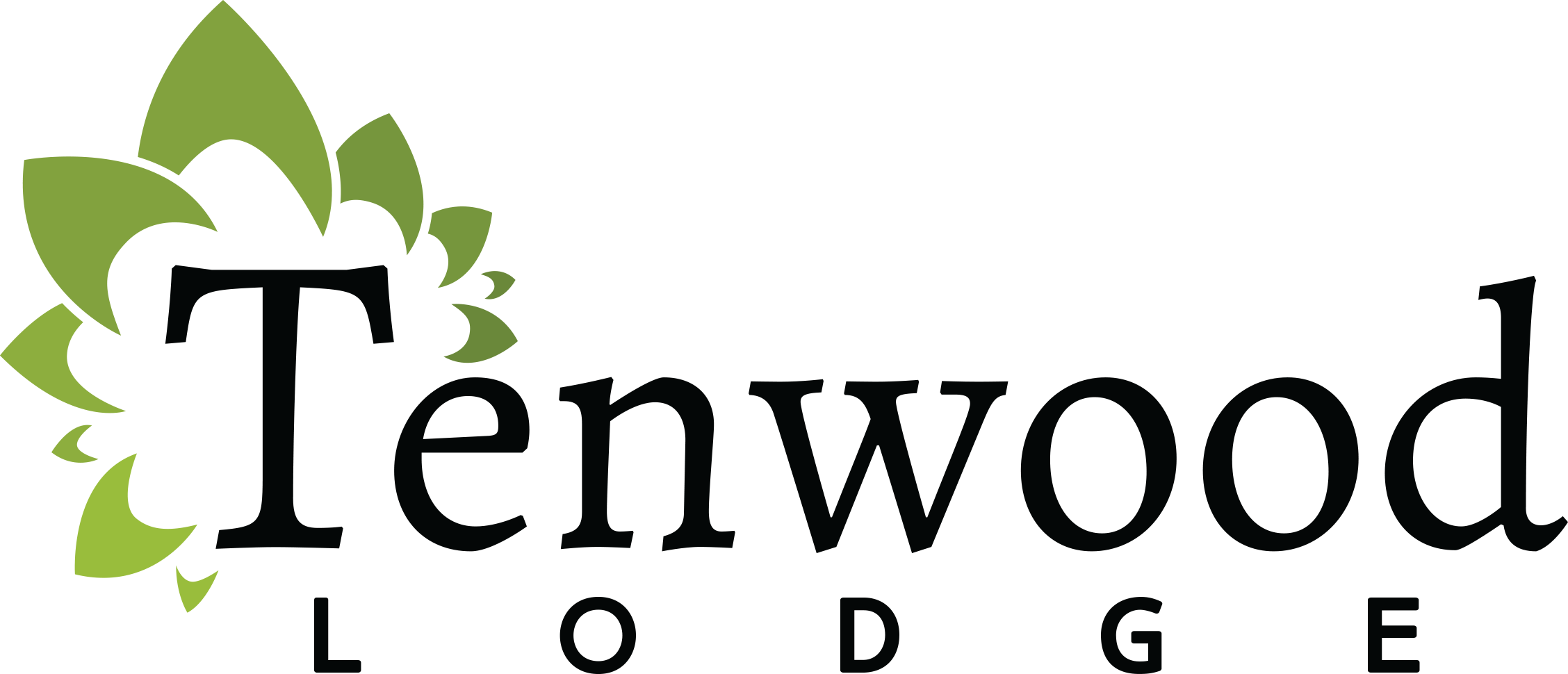 Tenwood Lodge Ithaca, Ny - Rheinland Versicherungsgruppe (2256x970), Png Download