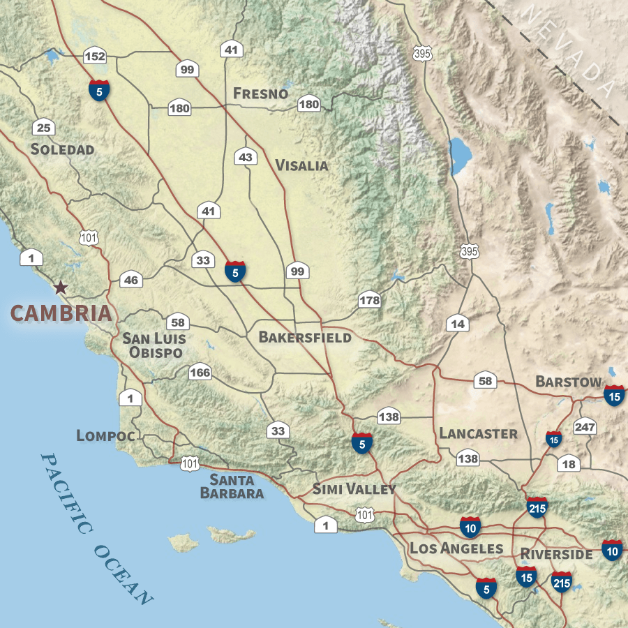 Elephant Seals Fight, Mate, And Sun Themselves Year - Road Atlas Map San Luis Obispo (900x900), Png Download