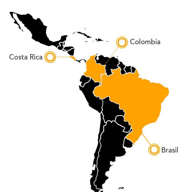 Jaguar Map - Ticks Of The Southern Cone Of America: Diagnosis, Distribution, (624x688), Png Download
