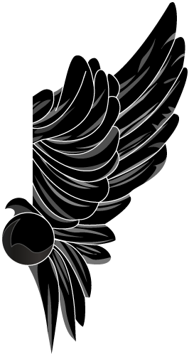 Right-wing - - Thor Media (800x545), Png Download