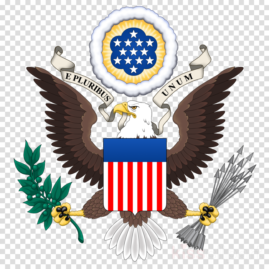 Usa Coat Of Arms Png Clipart Coat Of Arms Great Seal - Great Seal Of The United States Flag (900x900), Png Download