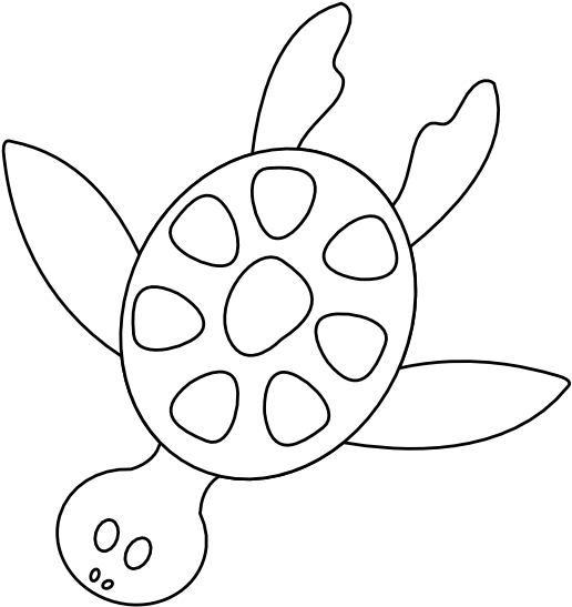 Colorful Animal Sea Turtle Black White Line Art 555px - Sea Turtle (555x555), Png Download