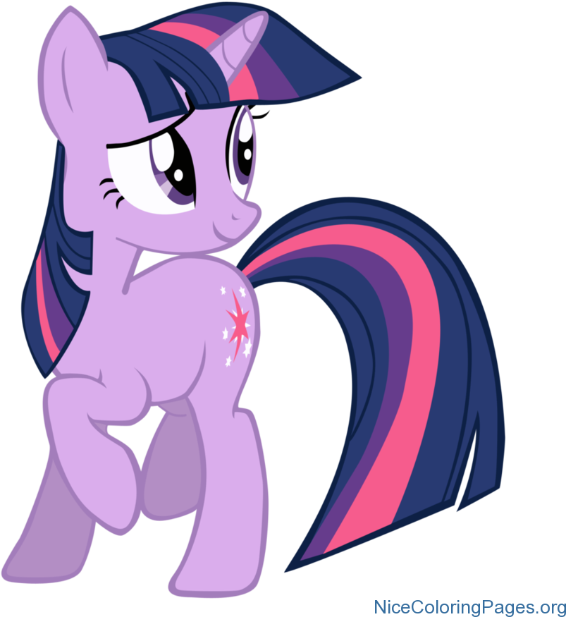 Twilight Sparkle (894x894), Png Download