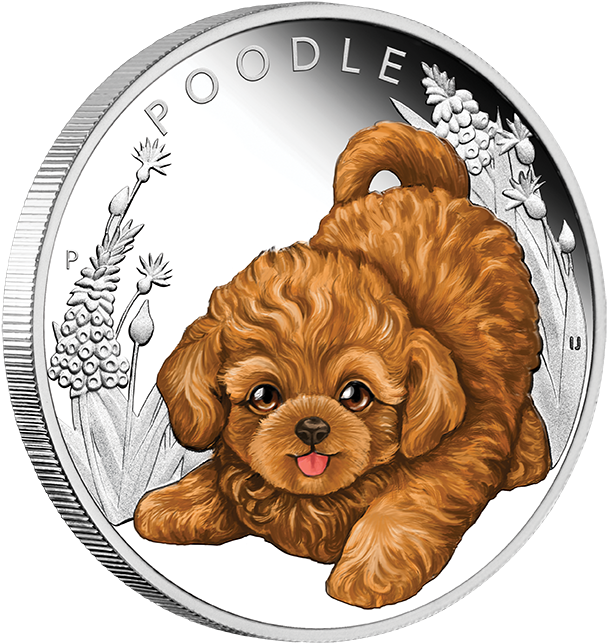 Poodle Silver Coin ~ The Puppies Series - Coin (624x652), Png Download