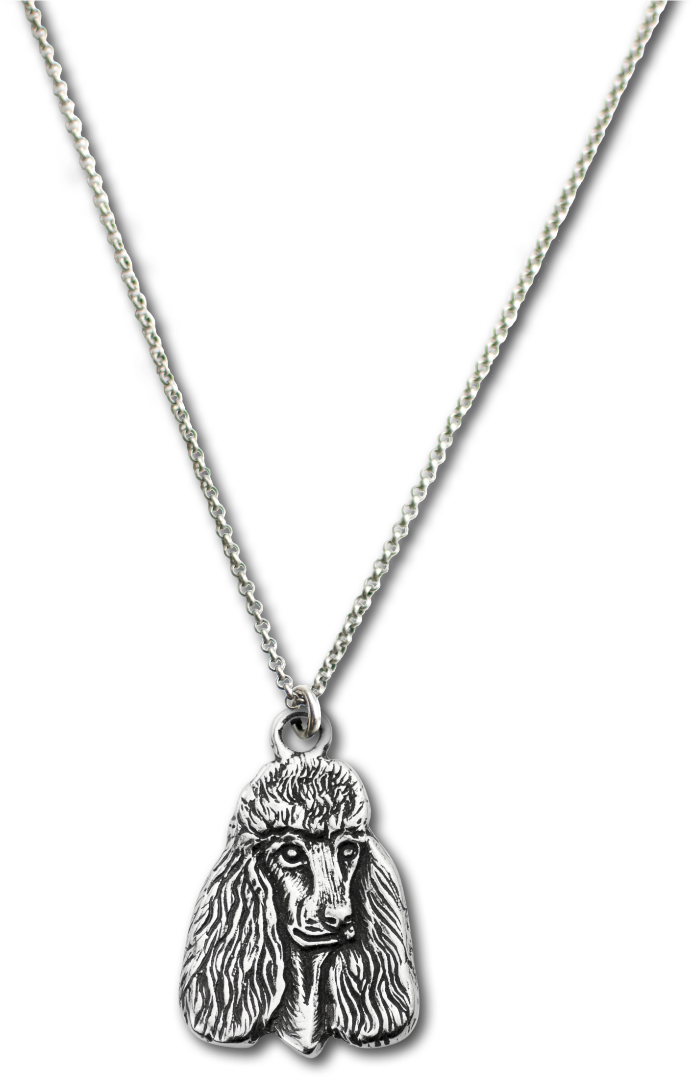 Poodle Charm On Rolo Chain - Necklace (1558x2308), Png Download