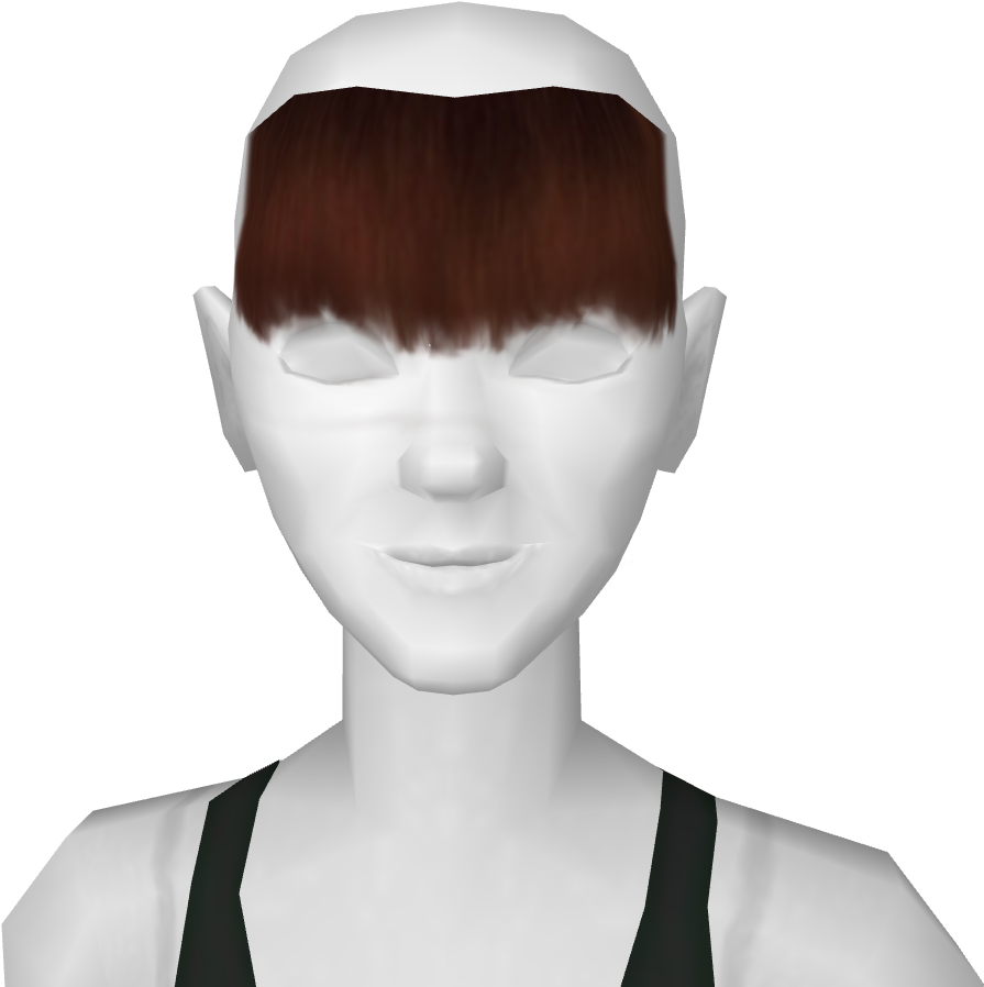 Flaritron Bangs Brown - Zucker Feather Products Feather Big Bird Mask (1365x1024), Png Download