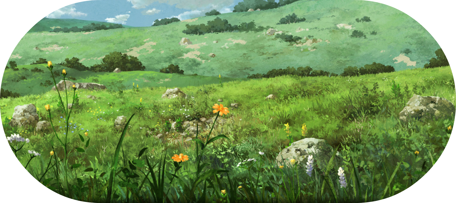 Field - Orange Lily (1903x847), Png Download