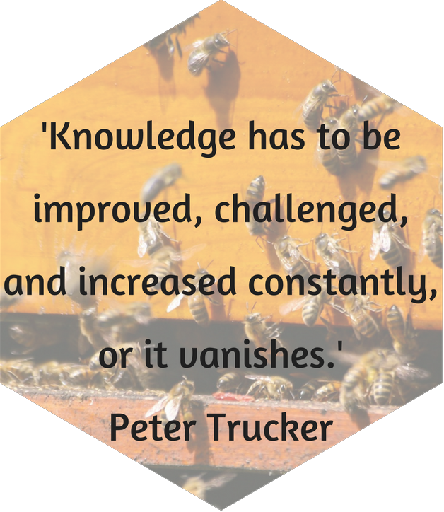 Knowledge Franchising Mystery Shopping Customer Service - Toko Progo (628x724), Png Download