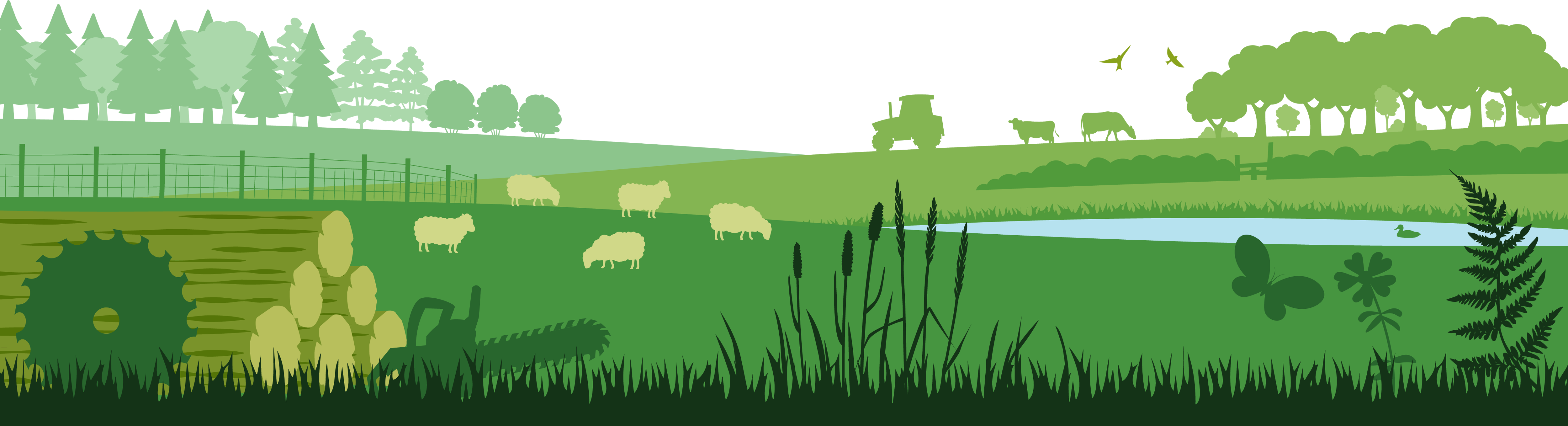 Coed Cymru Cyf The Old Sawmill Tregynon Newtown - Grass (5000x1358), Png Download