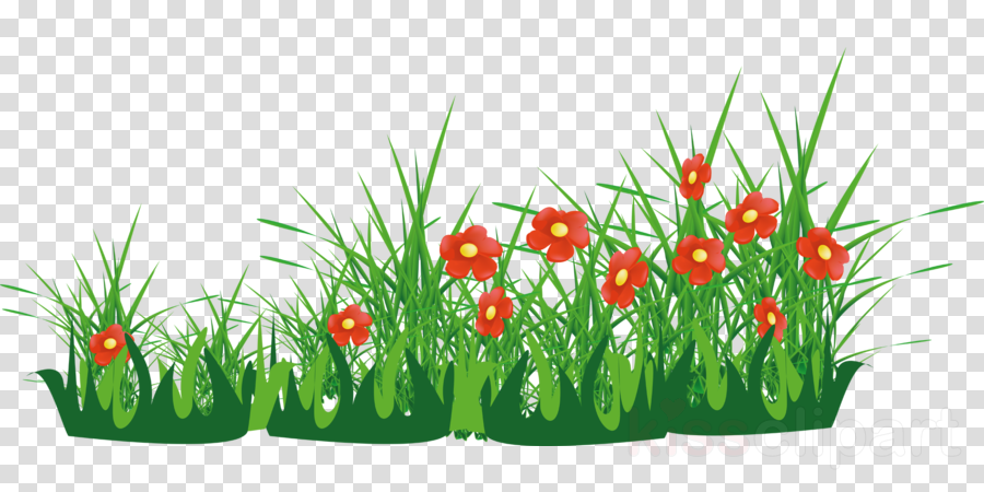 Wrigley Field Clipart Clip Art - Flores Cartoon Png (900x450), Png Download