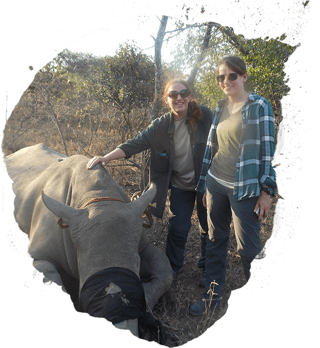 Linda And Catherine Kens - Catherine Giudici (660x715), Png Download