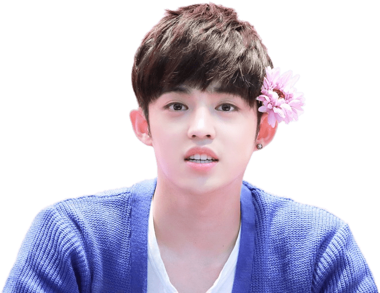 Seventeen Scoups Flower In Hair (800x532), Png Download