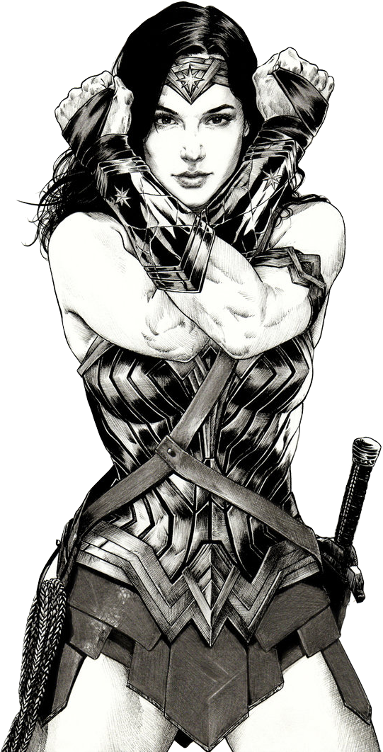 Jul 19, 2015 - Gal Gadot Wonder Woman Sketch (541x1062), Png Download