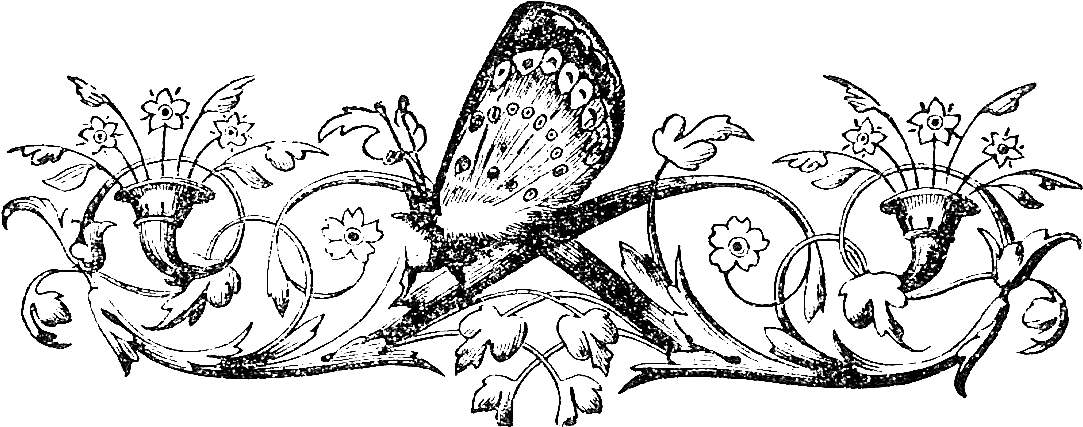 Free Black And White Illustrations - Design (1208x557), Png Download
