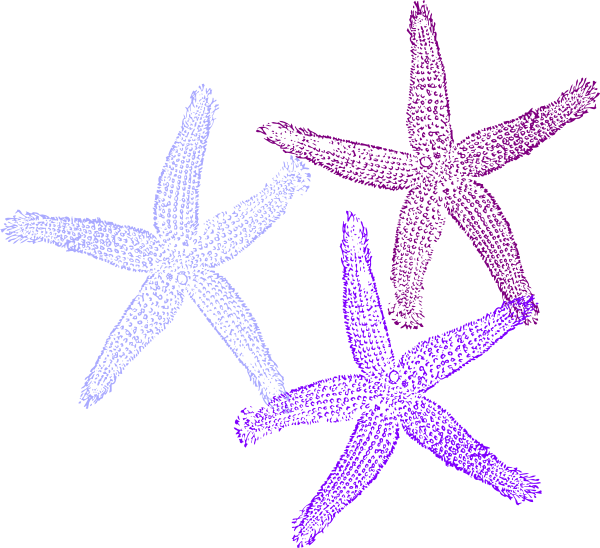 Purple Clipart Sea Star - Purple And Blue Starfish (600x548), Png Download