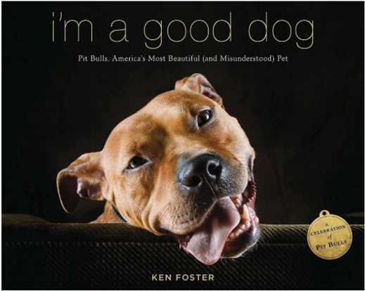 Pit Bull Book - I'm A Good Dog: Pit Bulls, America's Most Beautiful (800x601), Png Download